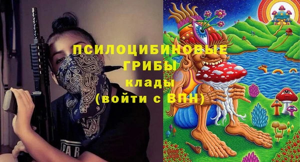 таблы Богданович